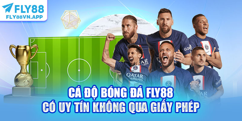 Cá độ bóng đá Fly88 có uy tín không qua giấy phép