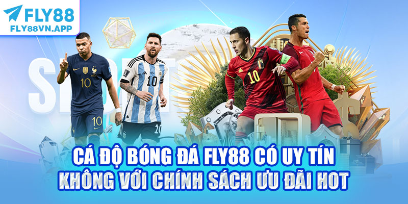 Cá độ bóng đá Fly88 có uy tín không với chính sách ưu đãi hot