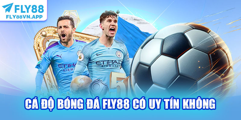 Cá Độ Bóng Đá Fly88 Có Uy Tín Không? Đánh Giá Từ Chuyên Gia