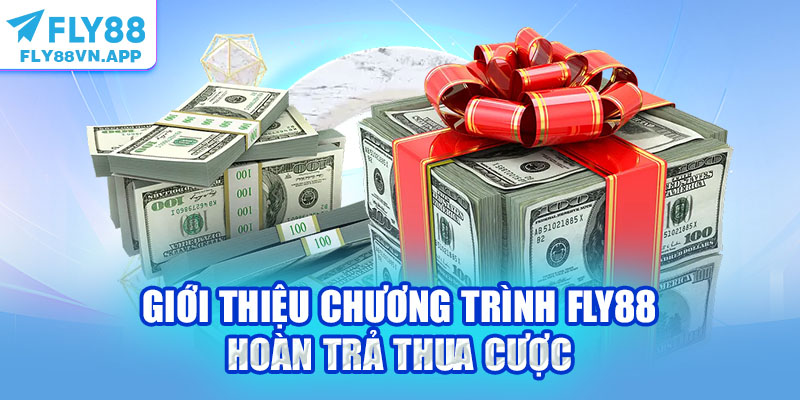 Giới thiệu chương trình Fly88 hoàn trả thua cược