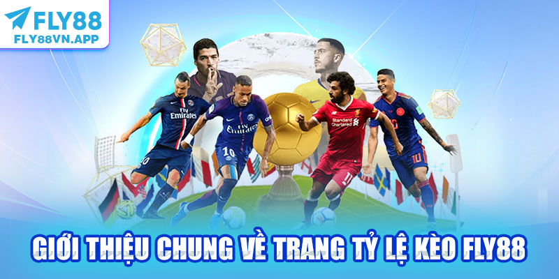 Giới thiệu chung về trang tỷ lệ kèo Fly88